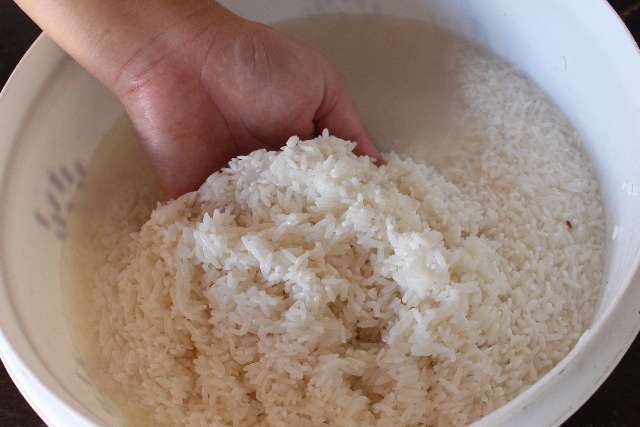Vinagre de arroz é uma peça fulcral na cozinha Japonesa e no Sushi